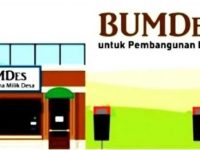 bumdes