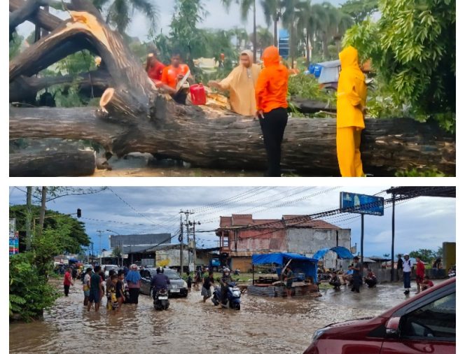 					Pohon Tumbang dan Banjir di Bulukumba. (Foto: Kolase/ Berita.News)