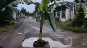 jalan-rusak