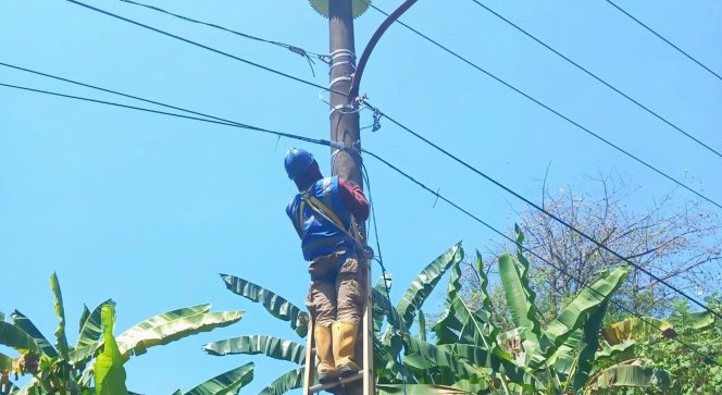 					Tingkatkan Kepercayaan Masyarakat, Begini Cara PLN Icon Plus