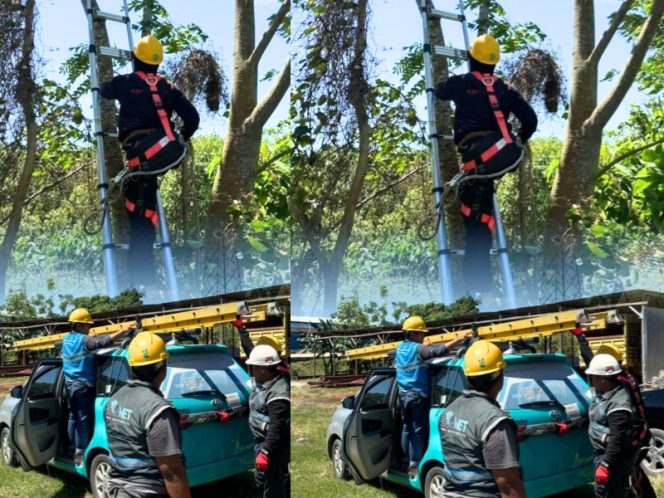 					PLN Icon Plus Sidak Kabel di PLTB Sidrap, Pastikan Jaringan Lancar Dukung Listrik Bersih