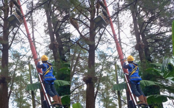 					Dirgahayu Indonesia, Stabilitas Jaringan Prioritas Kita