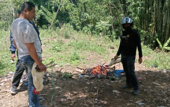 					Personel Polsek Bulukumpa Gerebek Arena Judi Sabung Ayam di Desa Sapubonto. (Foto: Istimewa)