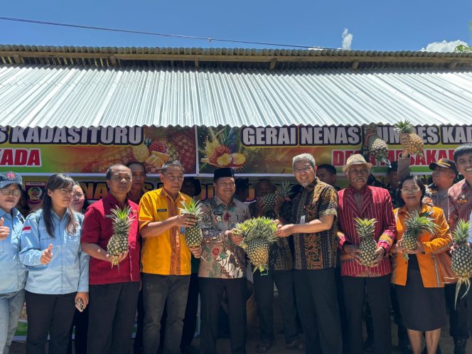 					OJK Sulselbar memberikan literasi keuangan digital untu petani di Mamasa (dok)