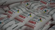 Harga Pupuk