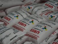 Harga Pupuk