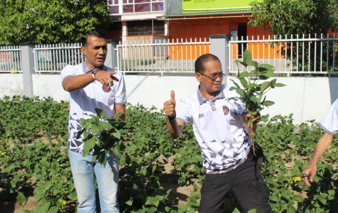 					Kalapas dan Jajaran Panen Kacang Edamame di Area Lapas Parepare. (Foto: Humas Lapas)