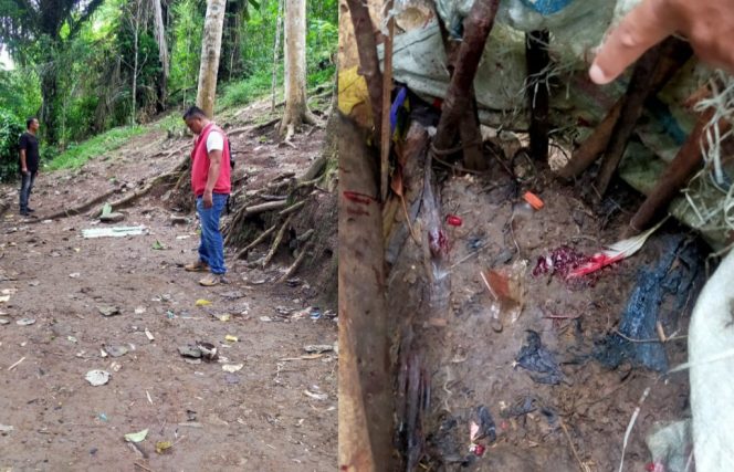 					Geger! Polisi Gerebek Lokasi Sabung Ayam di Bulukumba, Pelaku Kabur ke Hutan