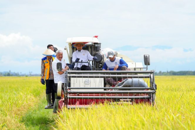 					Gubernur Sulsel Andi Sudirman saat hadiri Panen Raya di Kabupaten Pinrang (dok)