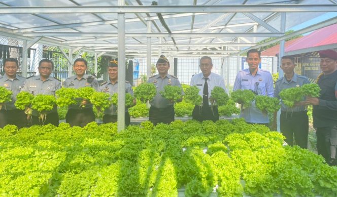 					Panen 60 Kg Selada Hidroponik, Lapas Makassar Cetak Warga Binaan Mandiri dan Produktif