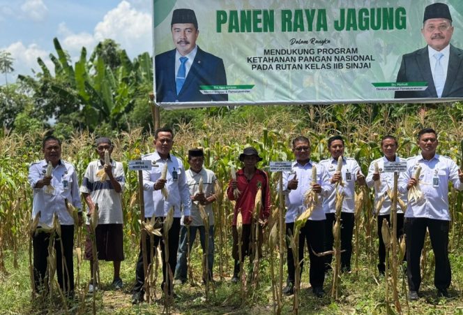					Rutan Sinjai Gelar Panen Raya Jagung, Sinergi Dukung Ketahanan Pangan Nasional