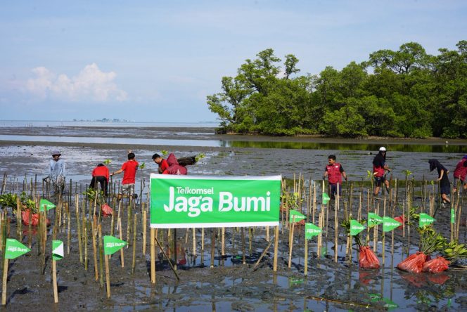 					Telkomsel dan AKADS Tanam 1000 Bibit Mangrove di Pesisir Pantai Pangkajene