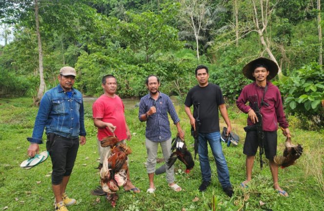 					Polisi Menyita Sejumlah Ayam Aduan Para Pelaku Judi Sabung Ayam. (Foto: Istimewa)