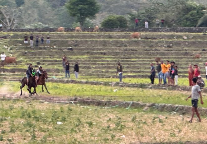 					Sesi Uji Coba Arena Pacuan Kuda di Desa Bontonyeleng, Bulukumba. (Foto: Istimewa)