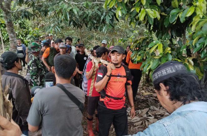					Proses Evakuasi Nenek Subaeda Usai Ditemukan Oleh Tim Gabungan. (Foto: BPBD Bulukumba)