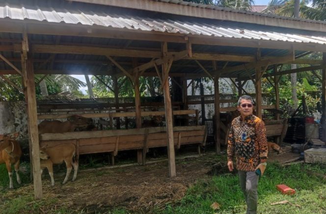 					Pimpinan Cabang BRI Sinjai, H.M Dandy Wardana saat Mengunjungi Salah Satu Usaha Nasabah di Sektor Peternakan. (Foto: Istimewa)