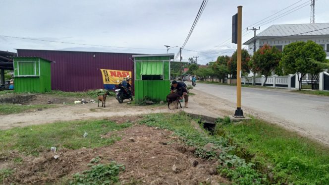 					Personel Satpol PP Sinjai Mengamankan Hewan Ternak Liar.  (Foto: Istimewa)