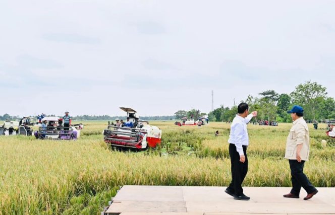 					Presiden Prabowo Subianto Bersama Mentan RI, Amran Sulaiman Saat Tinjau Panen Raya. (Foto: Setkab RI)