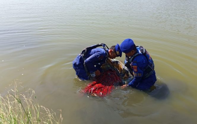 					Proses Evakuasi Penemuan Korban Hilang di Tambak Dalam Keadaan Mengapung. (Foto: Ist)