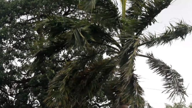 					Angin Kencang Landa Parepare. (Foto: Berita.News/ Wahyu)