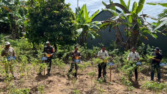 					Rutan Sinjai Panen Raya Program Ketahanan Pangan. (Foto: Ist)
