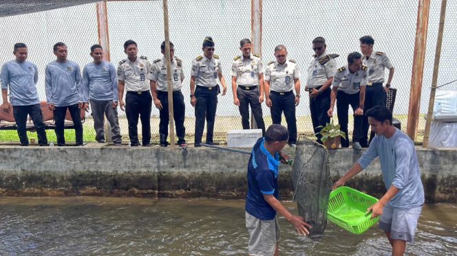 					Panen Raya di Lapas Kelas IIA Parepare. (Foto: Ist/ Humas)