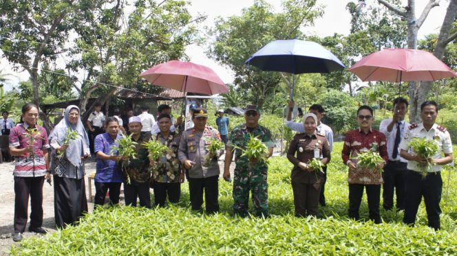					Panen Raya Serentak di Rutan Masamba. (Foto: Ist/ Humas)