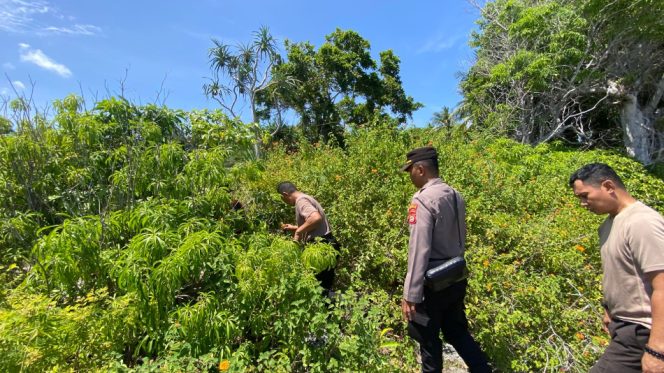 					Tim SAR Gabungan bersama Personel Polsek Bonomatene Terus Lakukan Pencarian Lansia yang Hilang di Selayar. (Foto: Ist)
