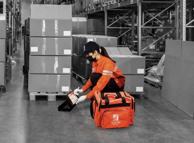 					ecoCare Pest Control (ist)