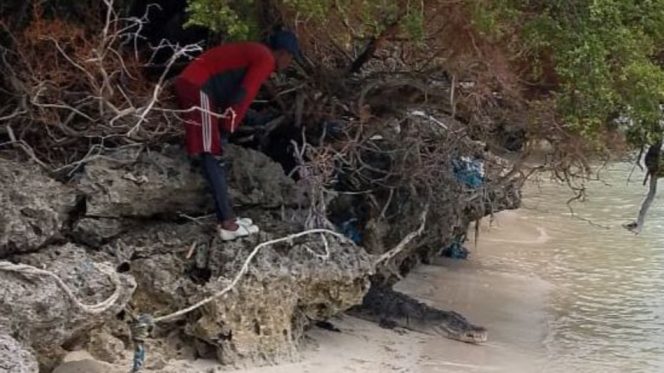 					Seekor Buaya Muncul di kawasan Pantai Timur Desa Appatanah, Kecamatan Bontosikuyu. (Foto: Ist)