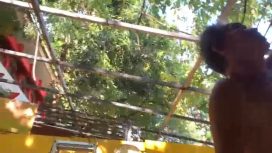 Lapak PKL di samping SMKN 4 Makassar dibongkar secara mandiri. Foto: Ist