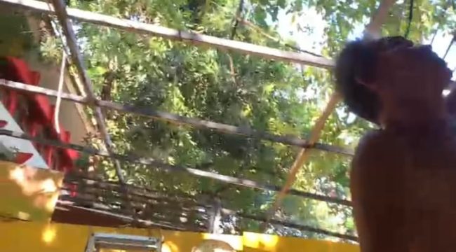 Lapak PKL di samping SMKN 4 Makassar dibongkar secara mandiri. Foto: Ist