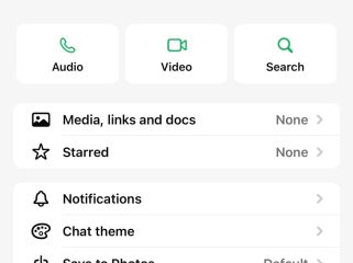 Nama Wawali Makassar Aliyah Mustika Ilham namanya dicatut untuk aksi penipuan. Foto: Ist