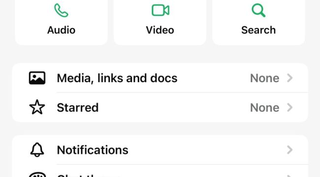 Nama Wawali Makassar Aliyah Mustika Ilham namanya dicatut untuk aksi penipuan. Foto: Ist