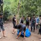 sabung ayam